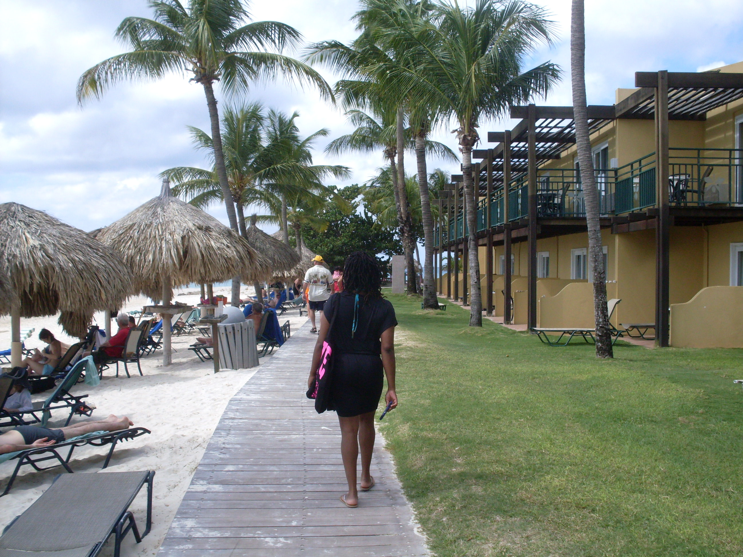 divi-dutch_2
